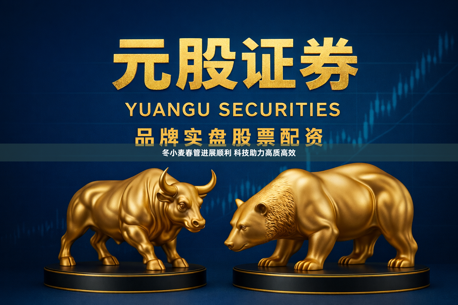 冬小麦春管进展顺利 科技助力高质高效