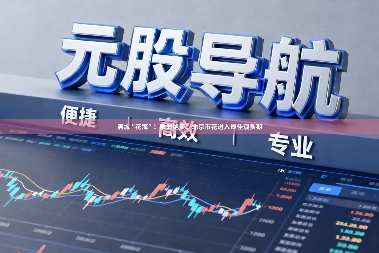 满城“花海”！限时绝美！北京市花进入最佳观赏期