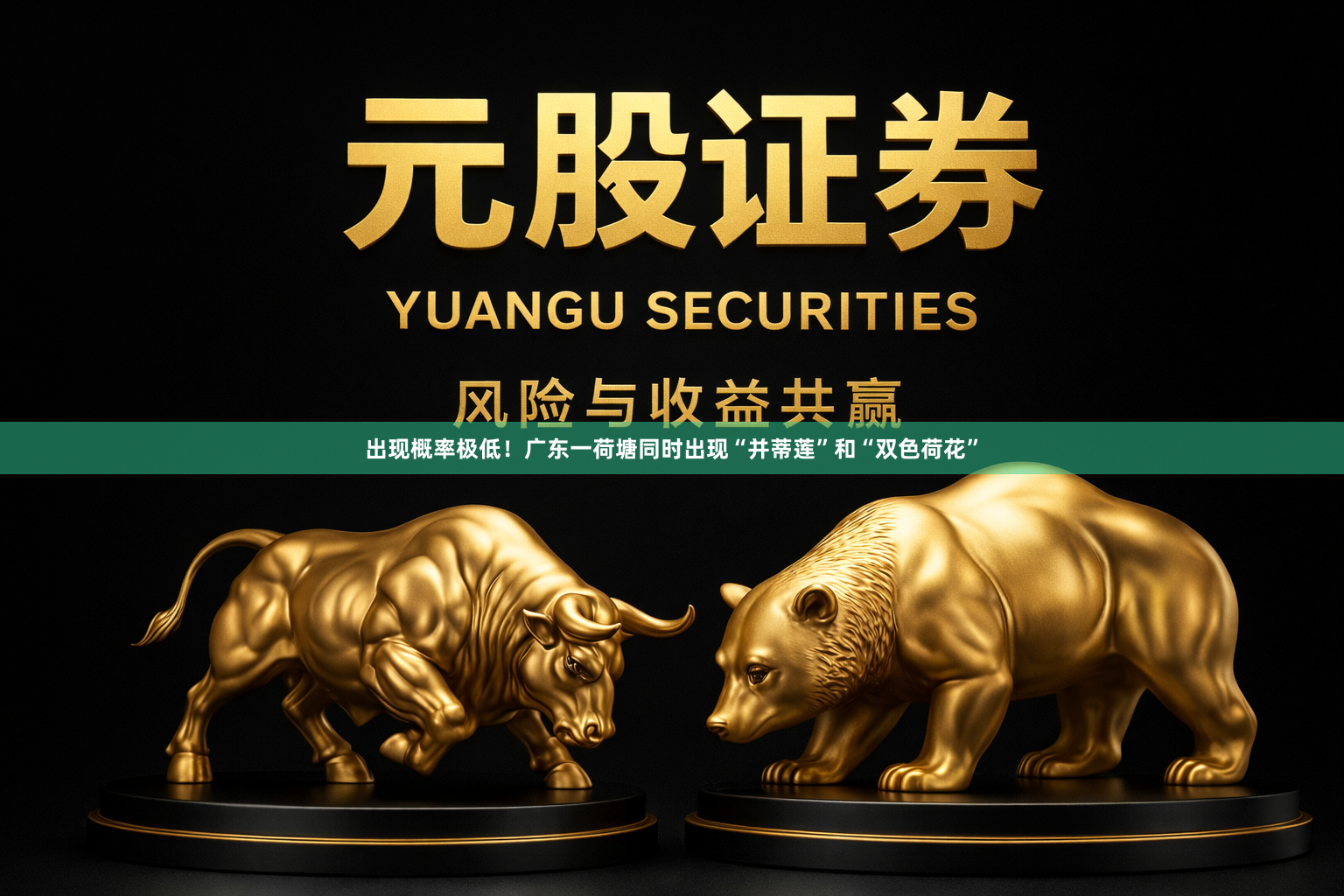 出现概率极低！广东一荷塘同时出现“并蒂莲”和“双色荷花”